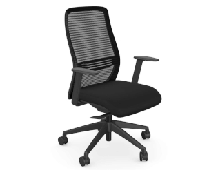 Ergonomic Office Chairs