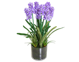 - Office Accessories - - Office Accessories -