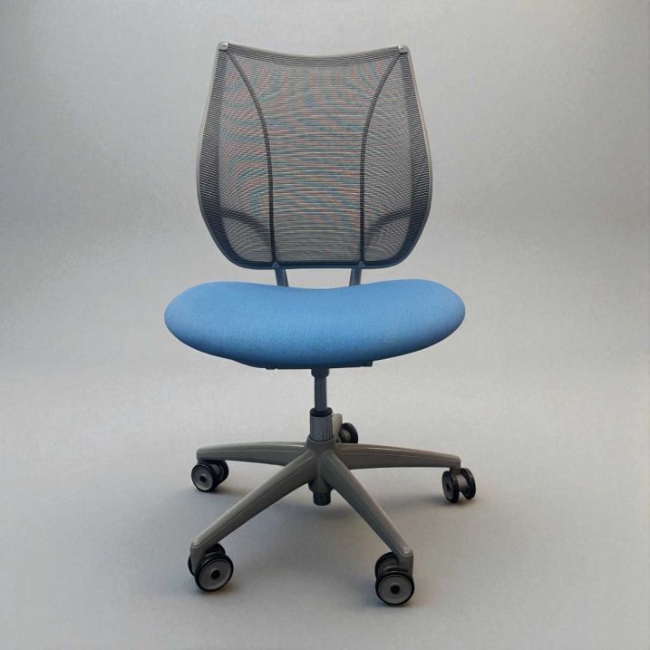 Second Hand Humanscale Liberty Office Chair AOF