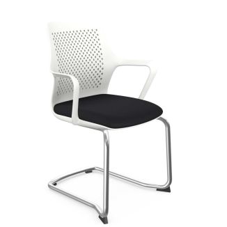 Carew Meeting Chair