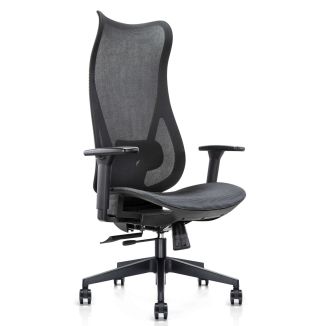 Flex Mesh Back Office Chair - High Back