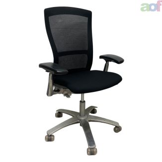 Used Knoll Life Executive Task Chair