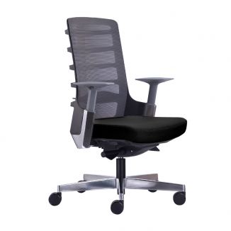 Spine Mesh Back Office Chair - Black Frame
