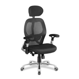 ERGO Luxury Mesh Back Executive Chair