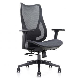Flex Mesh Back Office Chair