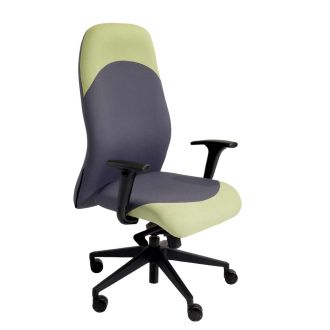 Lofting Executive Task Chair