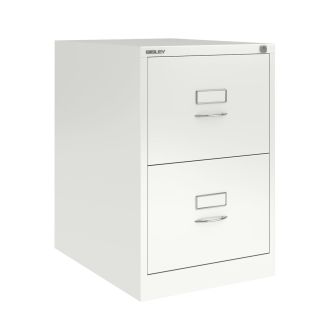 2 Drawer Bisley Filing Cabinet - Traffic White - BSCH