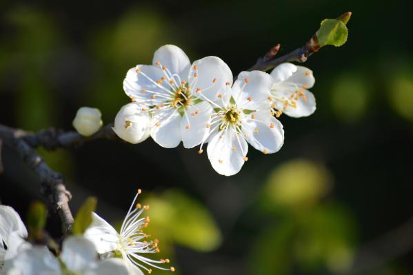 5 Tips for a Successful Office Revamp this Spring!