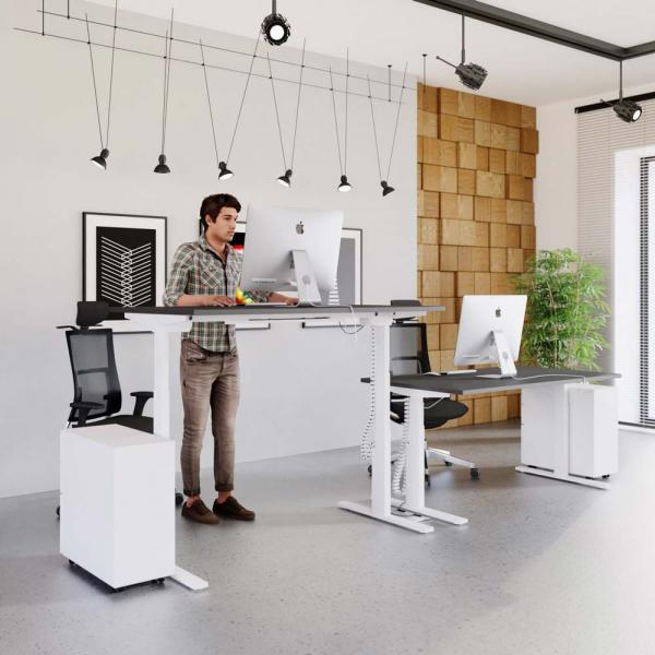 Ergonomic Furniture: The Modern Workplace