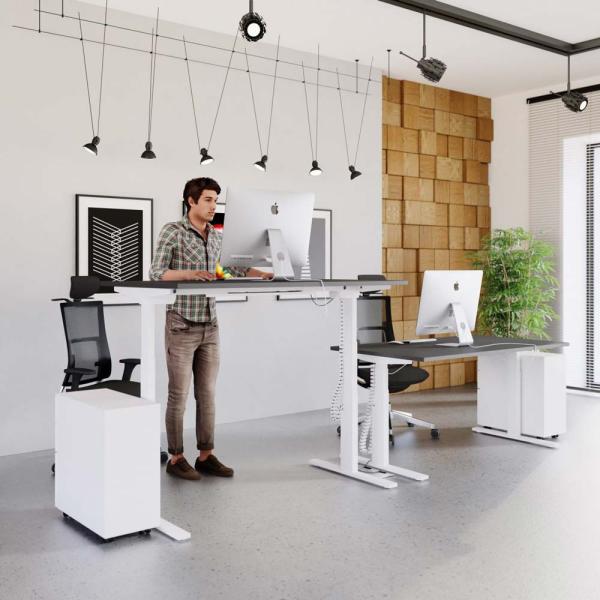 Ergonomic Furniture: The Modern Workplace