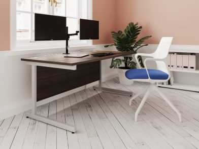 Standard Desk