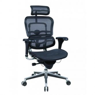 Ergohuman Mesh Office Chair