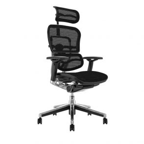 Ergohuman Chair