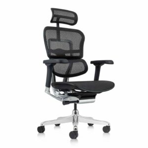 Ergohuman Elite Office Chair