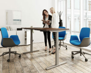 Ergonomic Sit Stand Desks