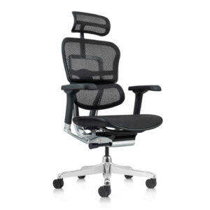 Ergohuman Black Mesh Office Chair