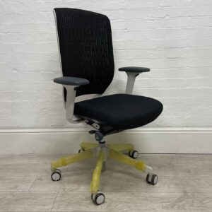 Senator Chairs