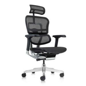 Ergohuman Operator Chair